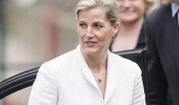 英国王室爆料吃瓜事件,一场不为人知的王室内部吃瓜风波